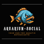 Best aquarium store in Pune 6